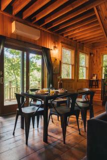 Breathtaking River Views The Hawks Nest Cabin - Millrift - 6