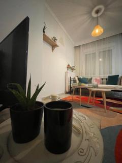 Anastasia's House - 8