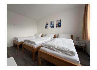 Ubytování V Panské zahradě - 7