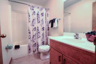 Bear Camp By The Night - 1