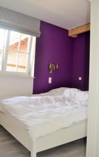 Hof-Ruesch-FeWo-Fohlenkoppel - 6