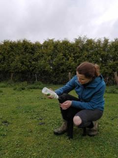 Hof-Ruesch-FeWo-Diekskamp - 2