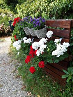 Hof-Ruesch-FeWo-Diekskamp - 1