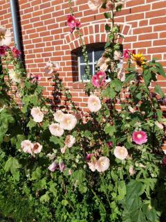 Hof-Ruesch-Bredensteen - 2