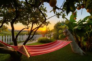 Hotel Altea Paradise 1917 - Adults Only - 5