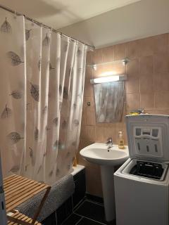 LOGEMENT ENTIEREMENT MEUBLE à VALLEIRY prêt de Genève - 4