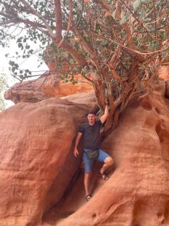 Bedouin bunch camp - 1