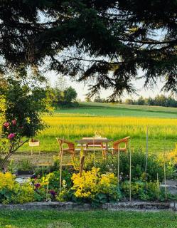 Alpine Boutique Chalet with Sauna near Salzburg - 5