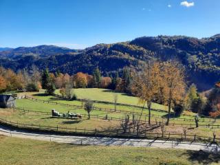 Pensiunea Agroturistica Acvila Apusenilor - 9