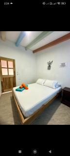 Hotel bosque blue - 5