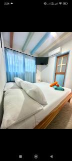 Hotel bosque blue - 4