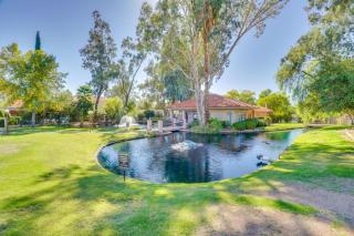 Mtn-View Tucson Home Near Hiking and Biking - 8