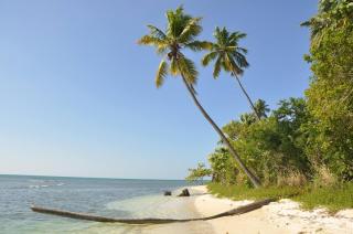 Casa Isla Azul, 4BR-3Ba-2Kit Wi-Fi, AC, Pool, Solar Power Boqueron Puerto Rico Walk to El Poblado Cabo Rojo - 1
