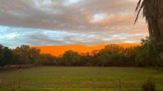 Juriesfontein Guestfarm - 7