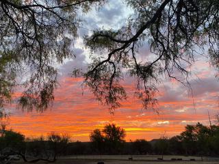 Juriesfontein Guestfarm - 3
