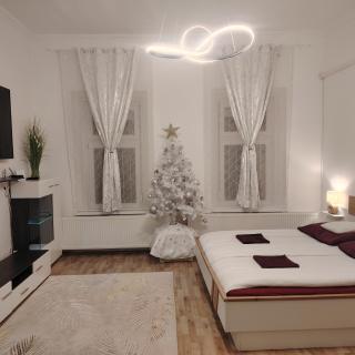 Bem-Oázis Apartman - 8