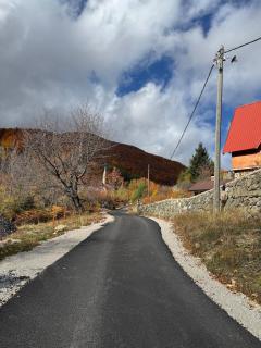 Mountain villa in Gorna Belica - Villa Hani - 9