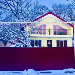 cottage in tsemi (Borjomi) - Borjomi - 0