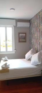 Helechos de Principe - 4