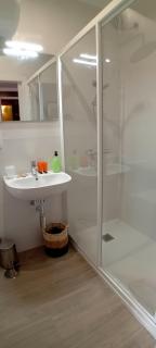 Helechos de Principe - 1