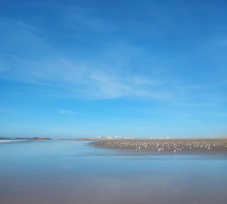 Riad Golden Baibah - 8