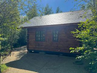 Authentic Log Cabin In Forest Near Ejstrupholm - 1