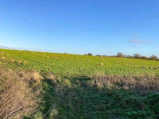 The Dairy - Uk48866 - 2