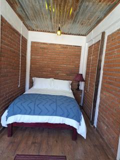 El Aventurero Renacer - Cedro - 6