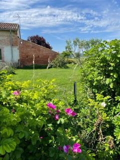 Gîte Casafamilia - Nature et sérénité - 7