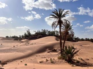 Camp azawan hananich - 5