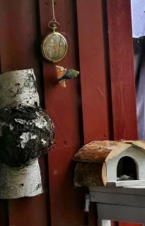 Fiskecamp Rusksele - 1