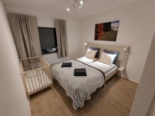 Arctic Aurora Villa with a Lappish Grill Hut - Northern Lights and Private Sledding Hill in the Backyard, in the Hometown of Santa Claus, Rovaniemi - 3