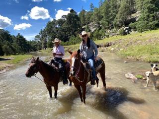 El Aventurero Renacer - Cedro - 3