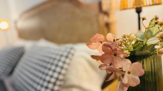 Apartamentos Alcazar de Baeza - 1