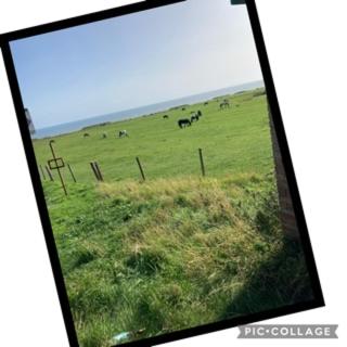 Entire modern home with sea views - 5