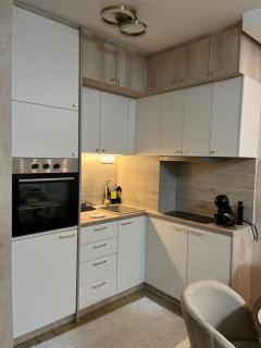 Apartman foRest Green Hills Divčibare - 8