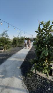 شاليه منتجع جوري حتا الخاص -J4- Jory Hatta Private Resort Chalet - 3