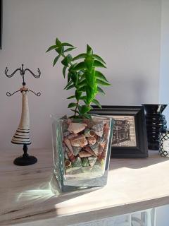 Casa Regina Baiona- ideal familias, grupos y peregrinos cerca playa - 8