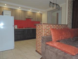Academic apartment - Vinnytsya - 5
