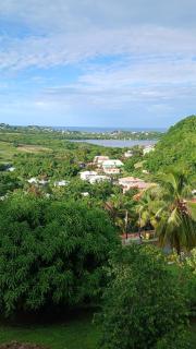 Les locations de Miche - 0