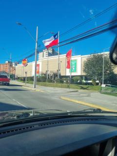 Departamento Pudú - 5