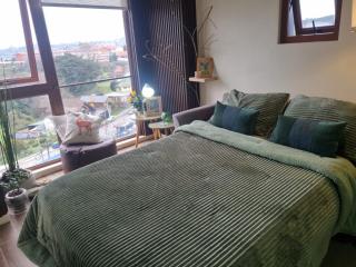 Departamento Pudú - 4