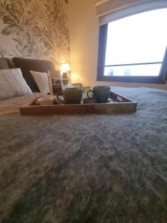 Departamento Pudú - 3