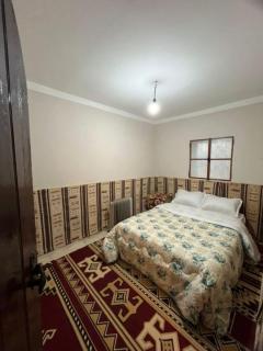 Maison authentique au cœur des oasis - 1