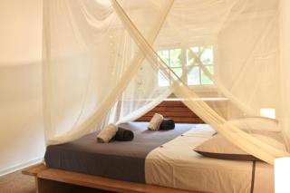 Creole villa 200 m from Diamant Beach - 2