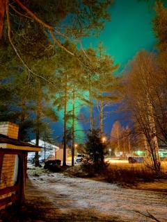 Kalle's House Apartments - 2