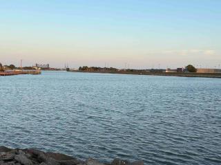 Broadview Lovely Apt Close to Beaches - 2