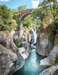 Oliveiras Misarela House - 4