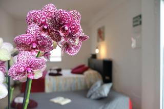 Le Dimore del Sole int 7 - 4