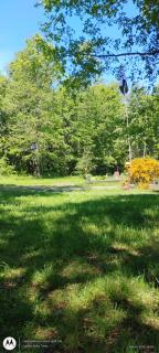 Cabaña Ruka trinar - 9